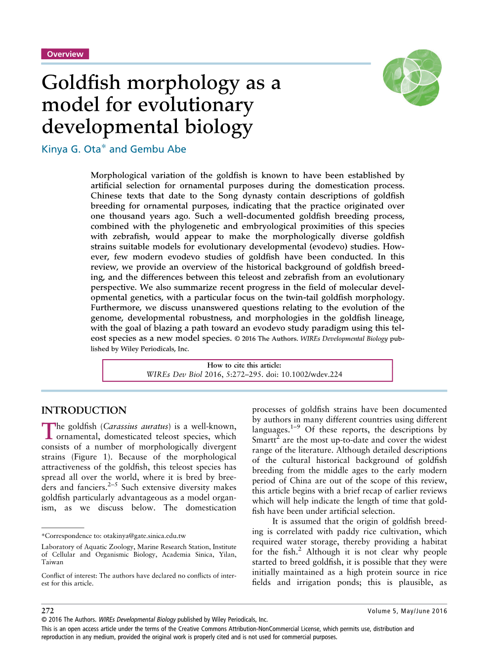 Goldfish Morphology As a Model for Evolutionary Developmental Biology