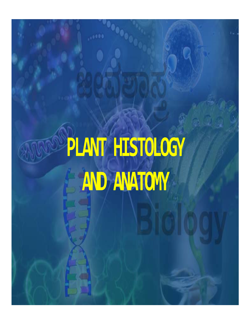 Plant Histology and Anatomy Q