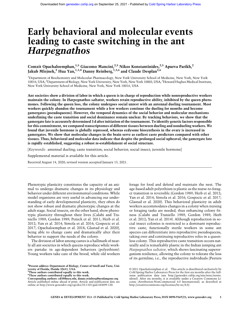 Early Behavioral and Molecular Events Leading to Caste Switching in the Ant Harpegnathos