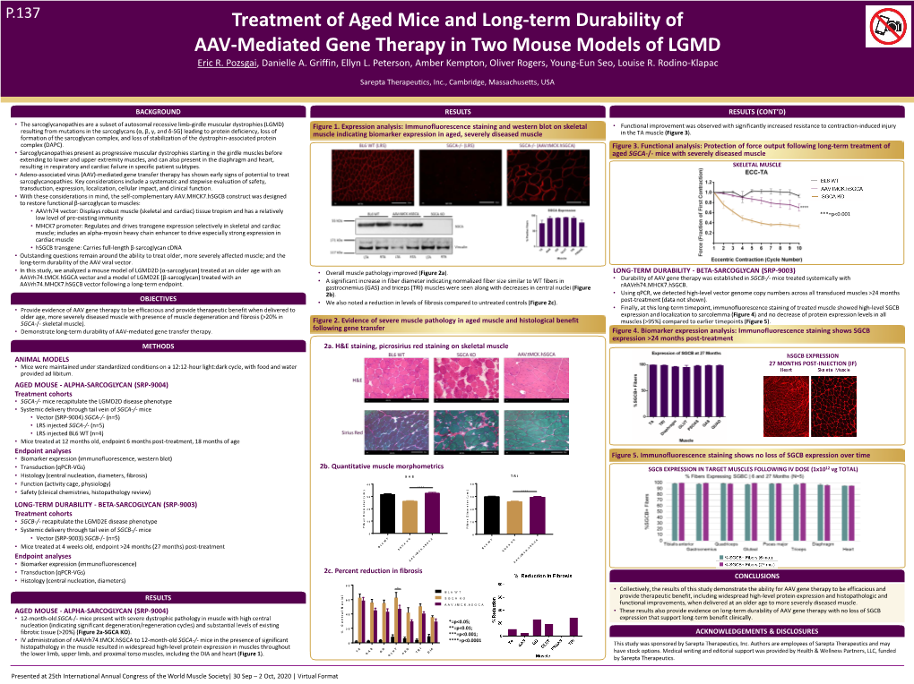 Treatment of Aged Mice and Long-Term Durability of AAV-Mediated Gene Therapy in Two Mouse Models of LGMD Eric R