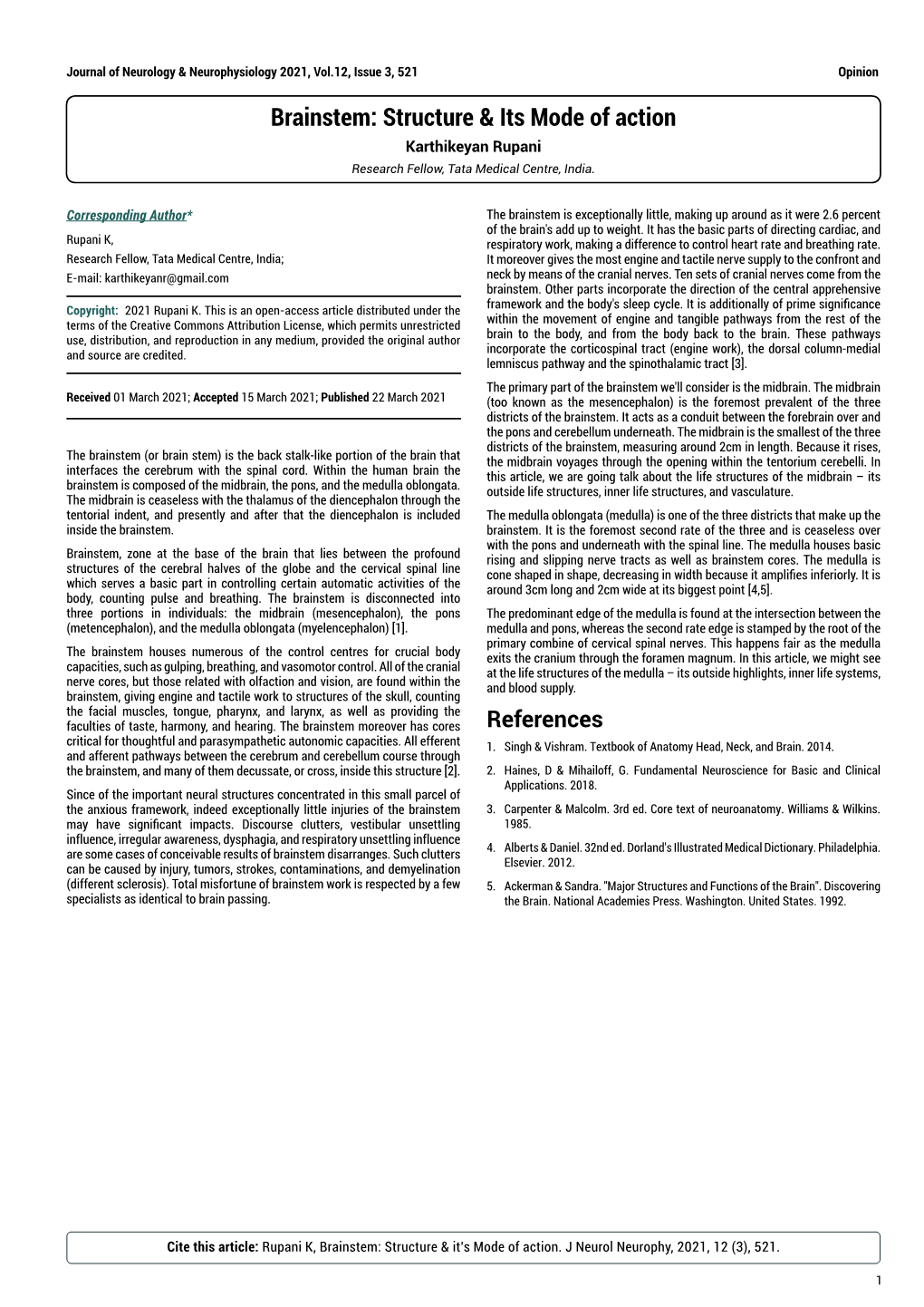 Brainstem: Structure & Its Mode of Action