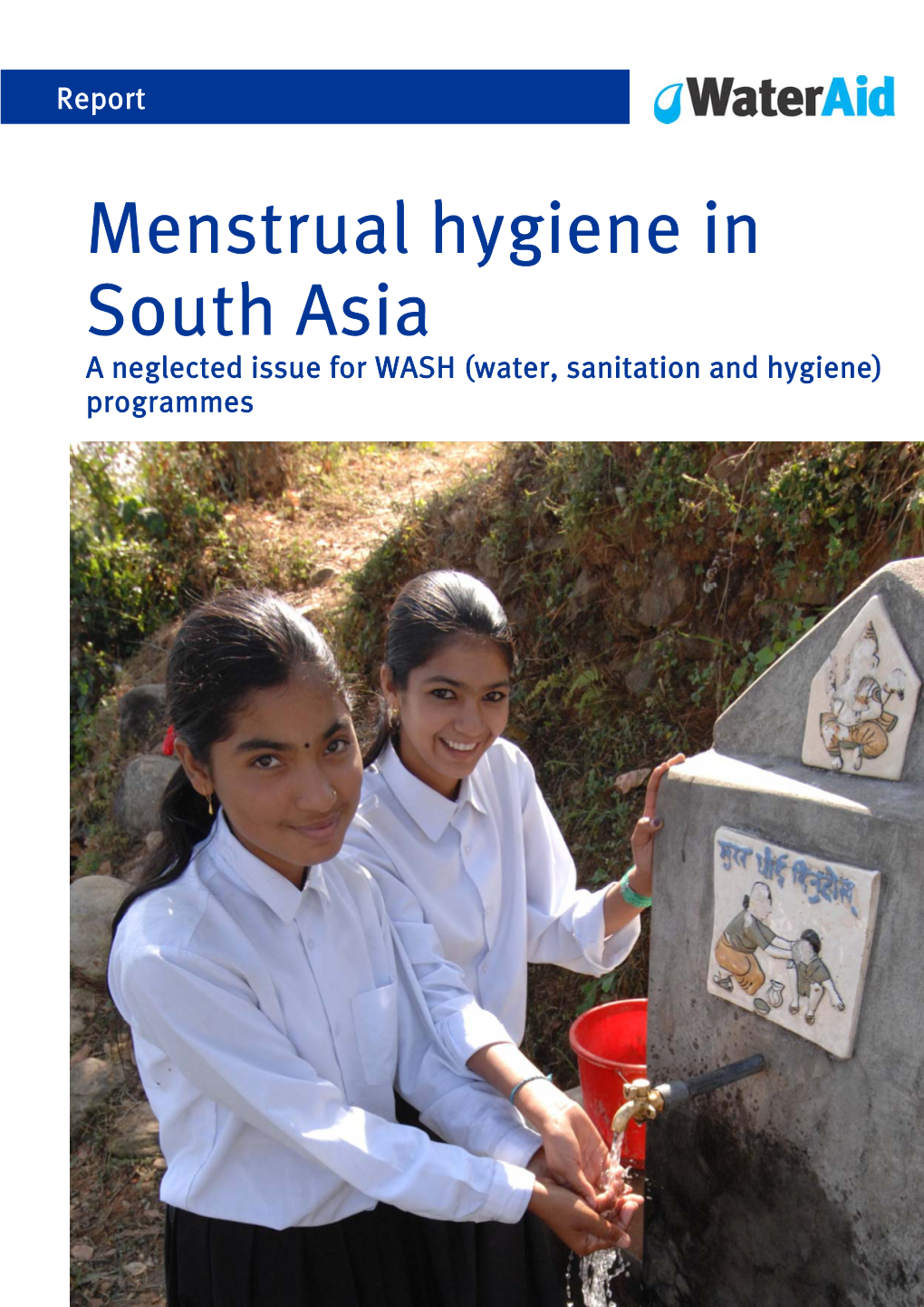 Menstrual Hygiene in South Asia a Neglected Issue for WASH (Water, Sanitation and Hygiene) Programmes