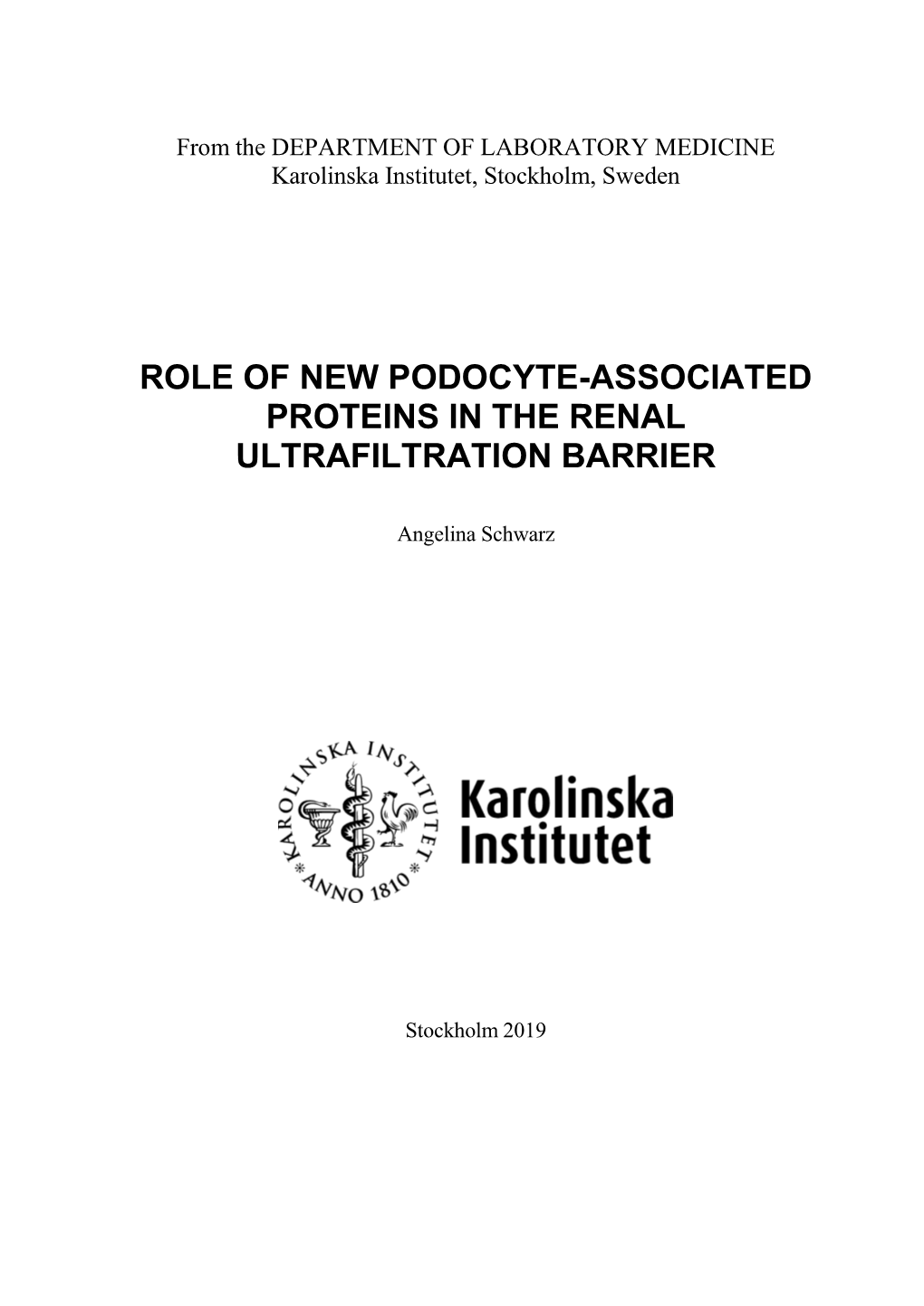 Role of New Podocyte-Associated Proteins in the Renal Ultrafiltration Barrier