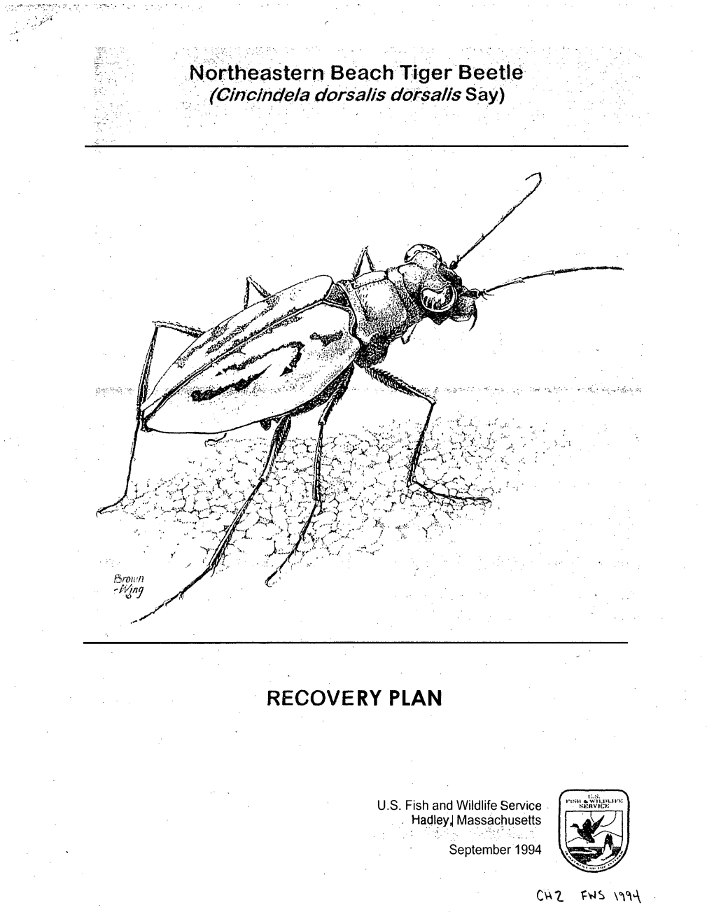 Recovery Plan for Northeastern Beach Tiger Beetle