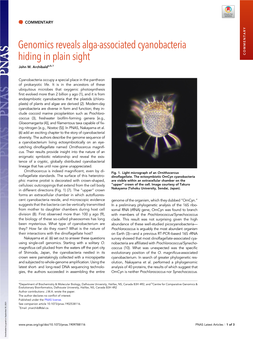 Genomics Reveals Alga-Associated Cyanobacteria Hiding in Plain Sight COMMENTARY John M