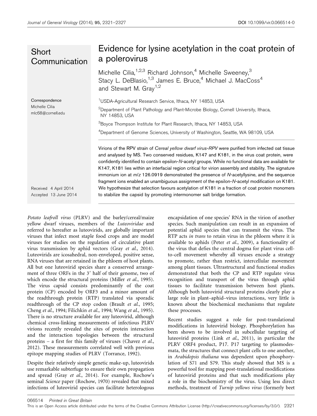 Evidence for Lysine Acetylation in the Coat Protein of a Polerovirus