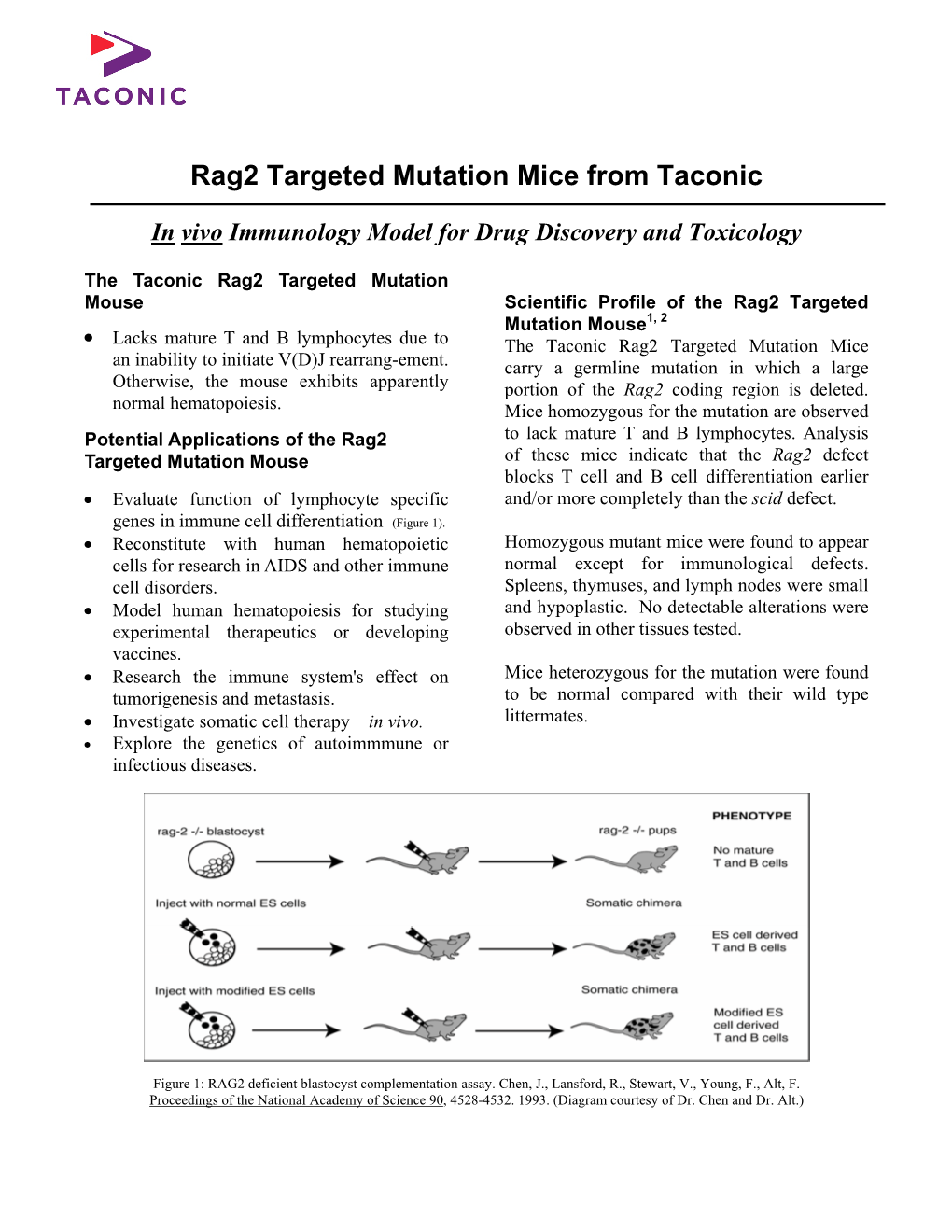 Rag2 Targeted Mutation Mice from Taconic