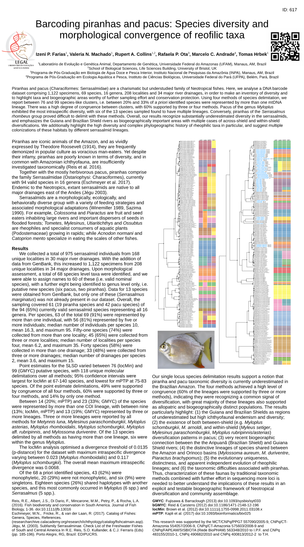 Barcoding Piranhas and Pacus: Species Diversity and Morphological Convergence of Reofilic Taxa