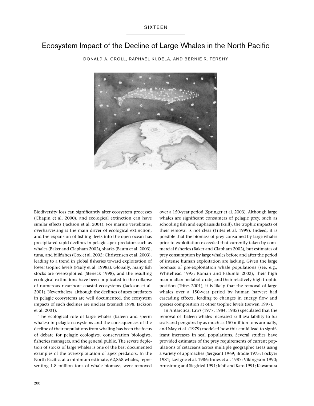 Ecosystem Impact of the Decline of Large Whales in the North Pacific