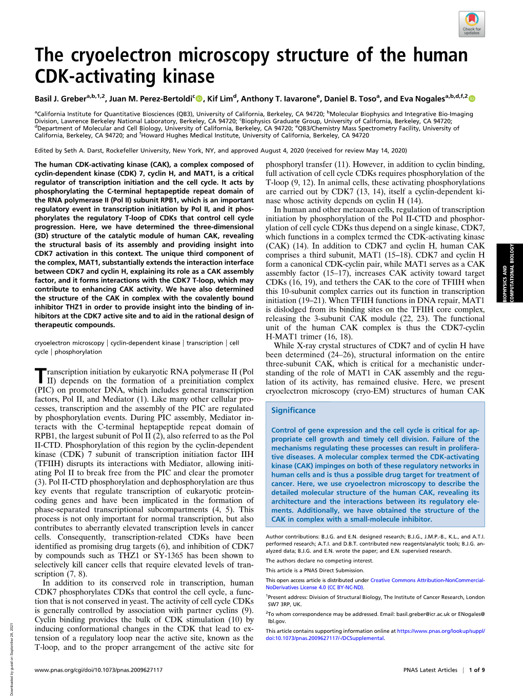 The Cryoelectron Microscopy Structure of the Human CDK-Activating Kinase