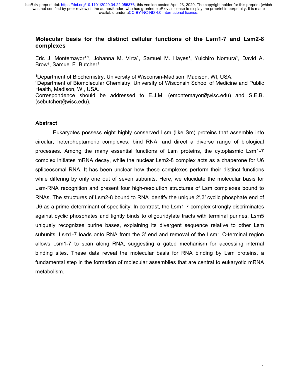 Molecular Basis for the Distinct Cellular Functions of the Lsm1-7 and Lsm2-8 Complexes