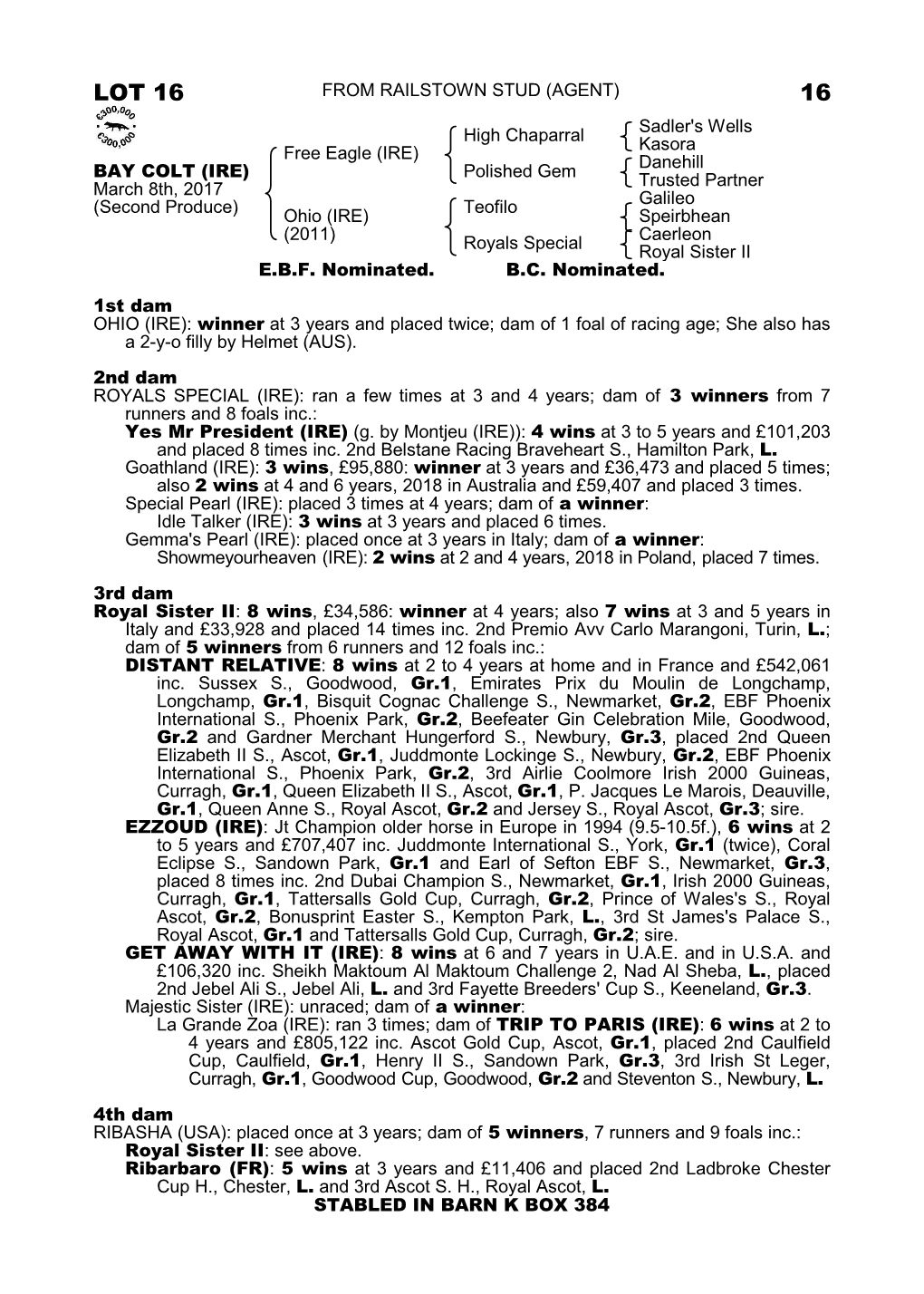 Lot 16 from Railstown Stud (Agent) 16