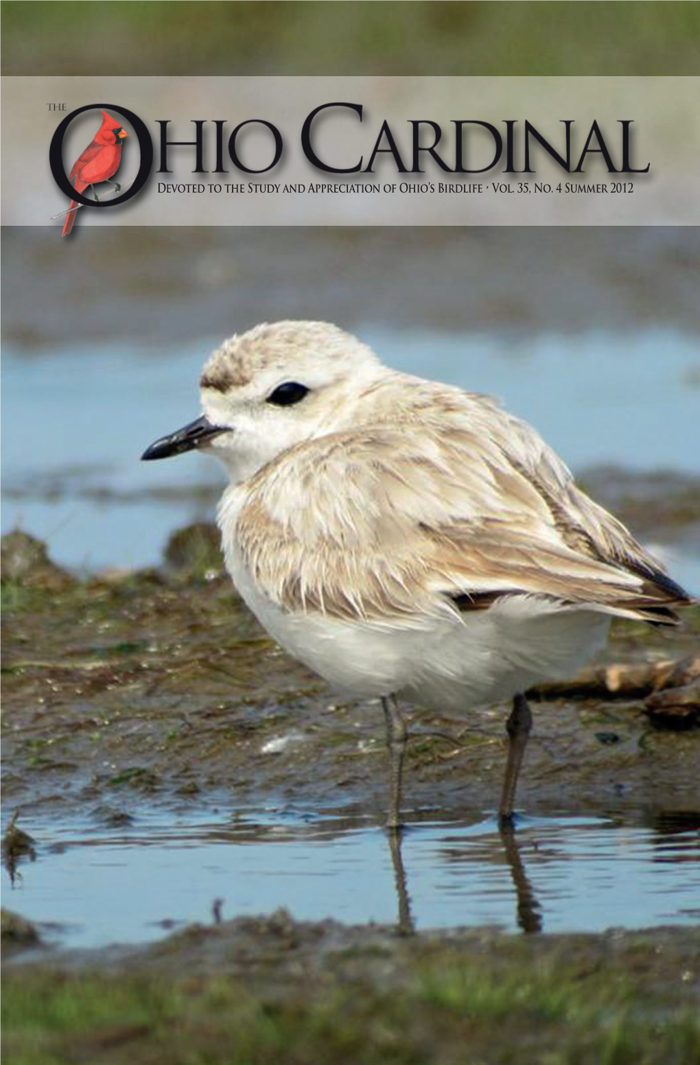 Devoted to the Study and Appreciation of Ohio's Birdlife • Vol. 35, No. 4