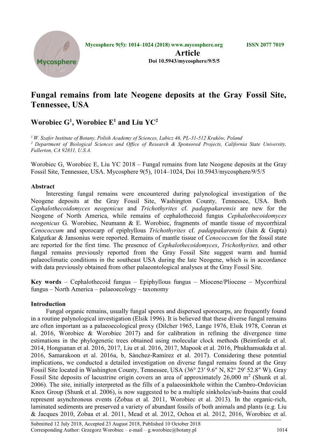 GFS Fungal Remains from Late Neogene Deposits at the Gray