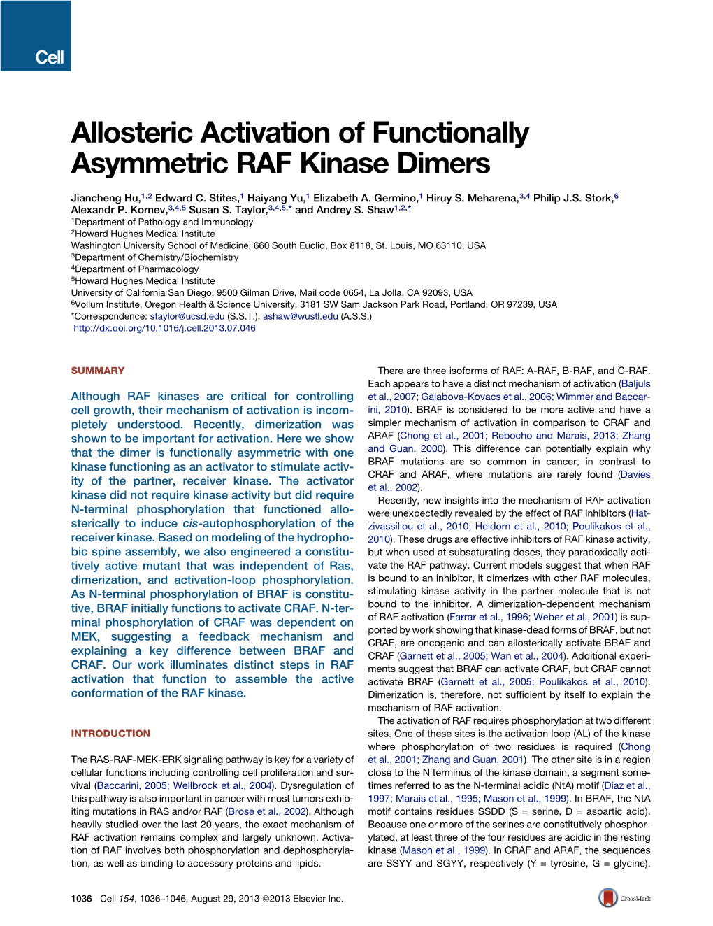 Allosteric Activation of Functionally Asymmetric RAF Kinase Dimers