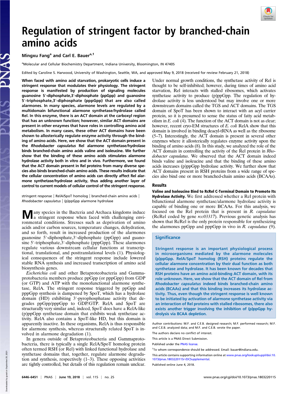 Regulation of Stringent Factor by Branched-Chain Amino Acids