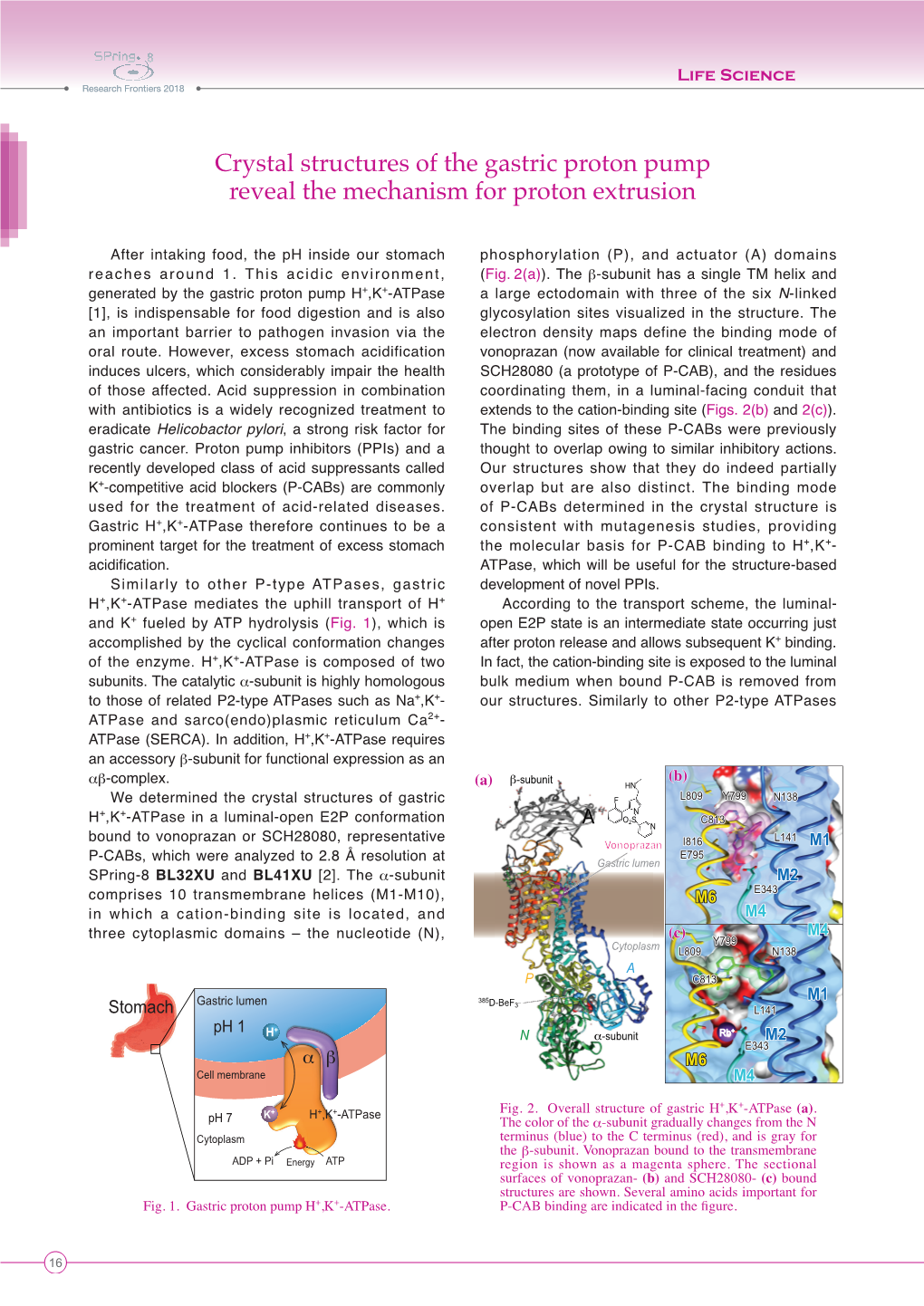 Crystal Structures of the Gastric Proton Pump Reveal the Mechanism for Proton Extrusion