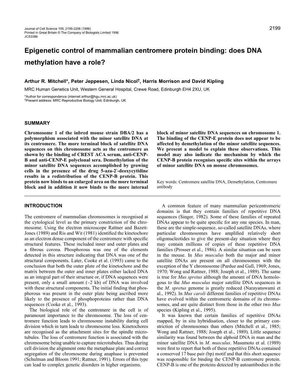 Epigenetic Control of Mammalian Centromere Protein Binding: Does DNA Methylation Have a Role?