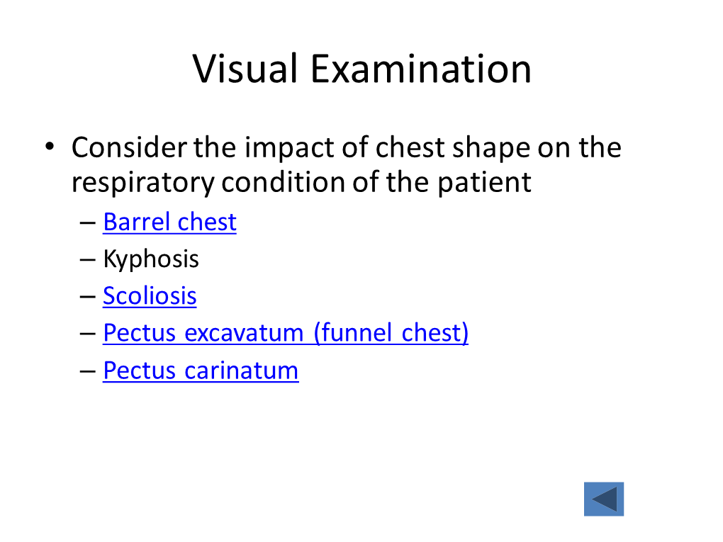 Visual Examination