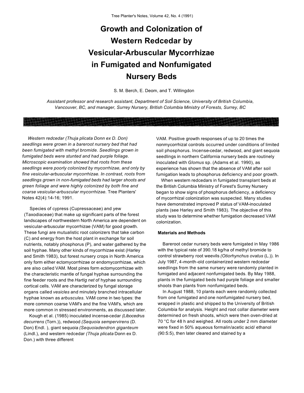 Growth and Colonization of Western Redcedar by Vesicular-Arbuscular Mycorrhizae in Fumigated and Nonfumigated Nursery Beds