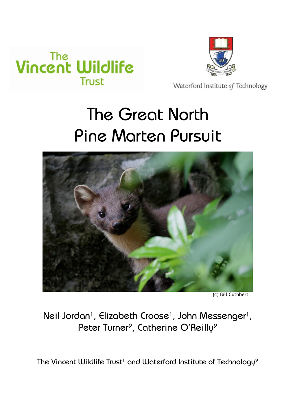 The Great North Pine Marten Pursuit Report