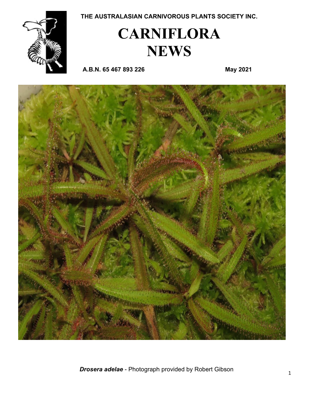 Carniflora News