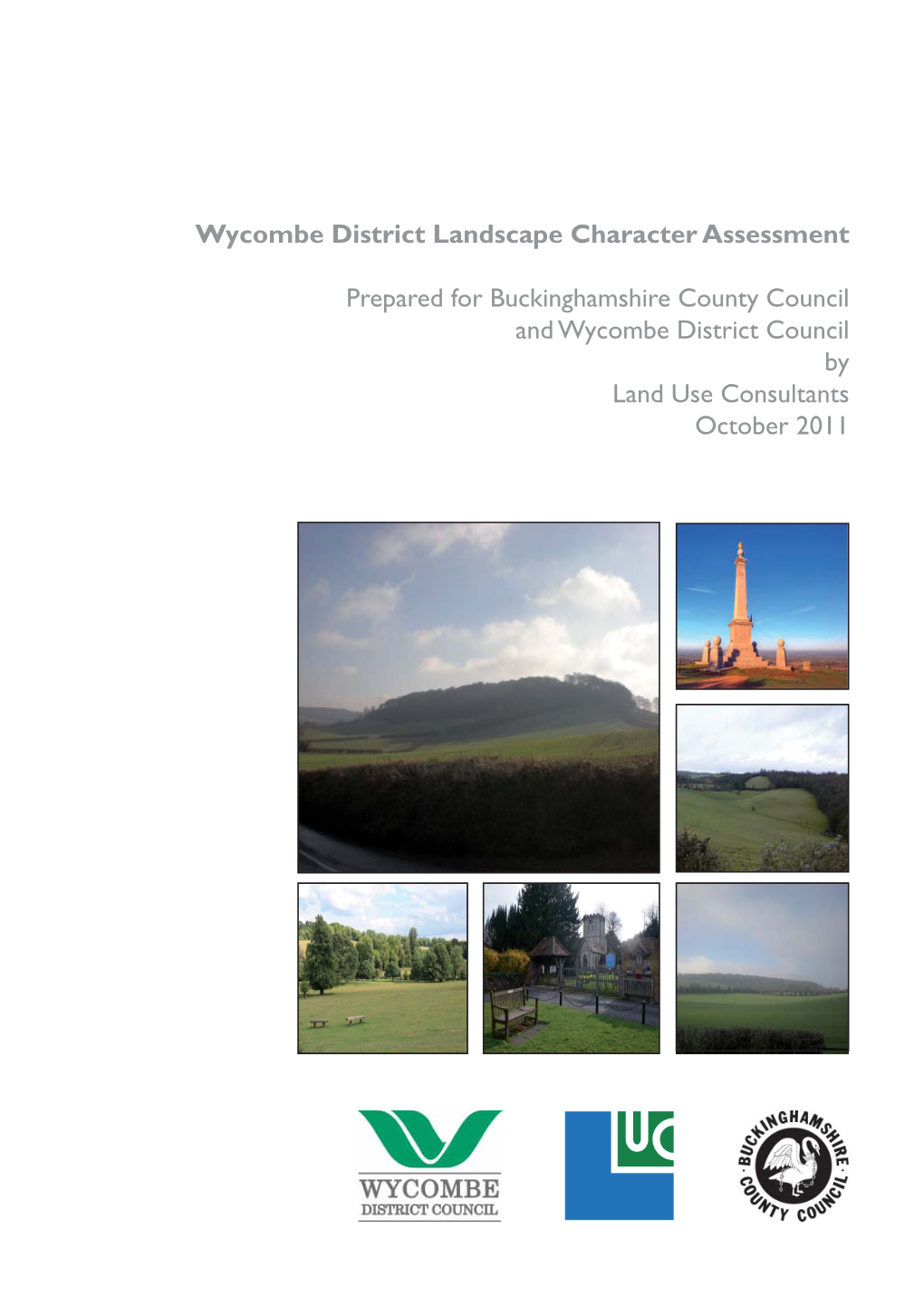 District Landscape Character Assessment