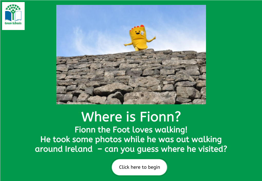 Fionn the Foot Quiz
