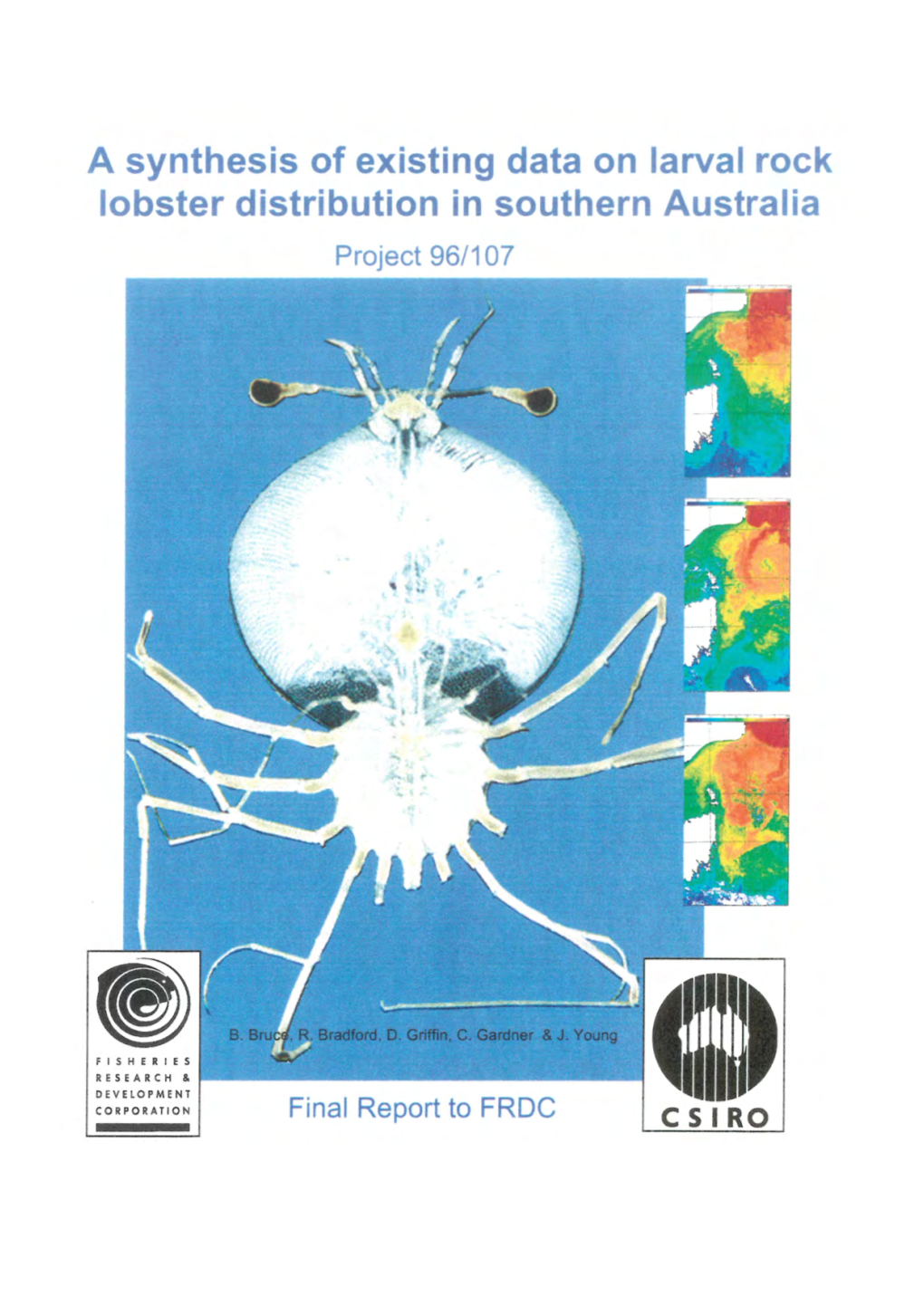 A Synthesis of Existing Data on Larval Rock Lobster Distribution in Southern Australia Project 96/107