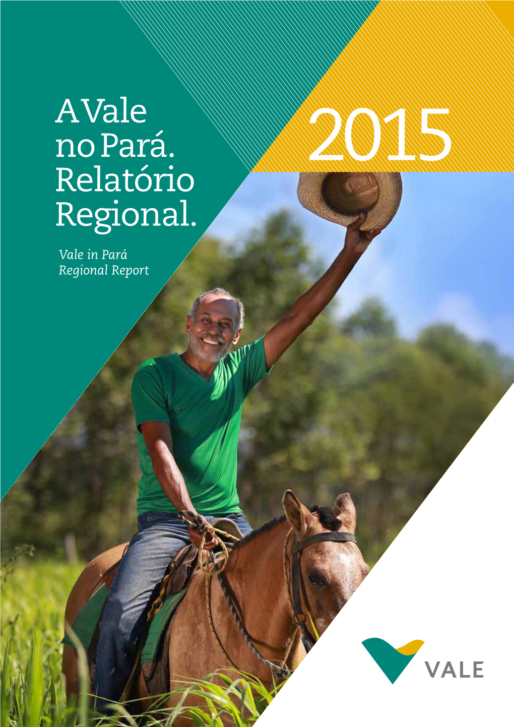 A Vale No Pará. Relatório Regional