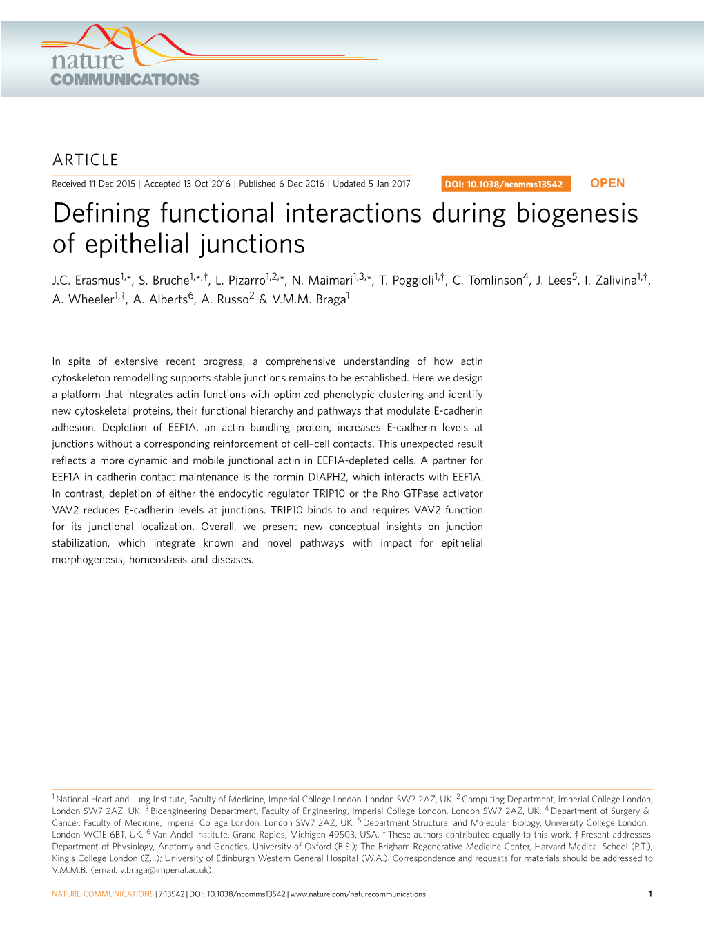 Defining Functional Interactions During Biogenesis of Epithelial Junctions