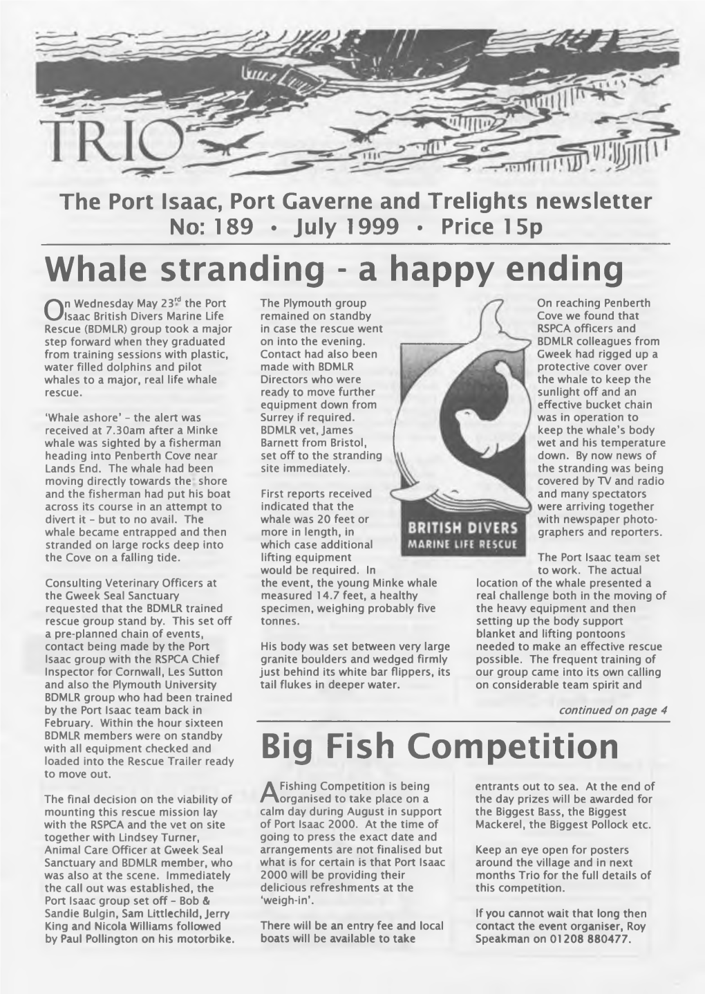 Whale Stranding - a Happy Ending