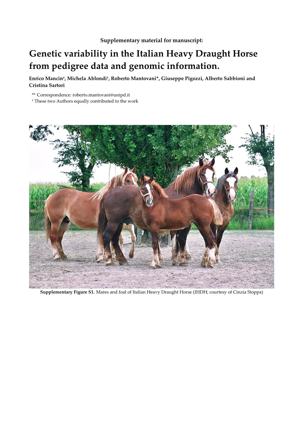 Genetic Variability in the Italian Heavy Draught Horse from Pedigree Data and Genomic Information