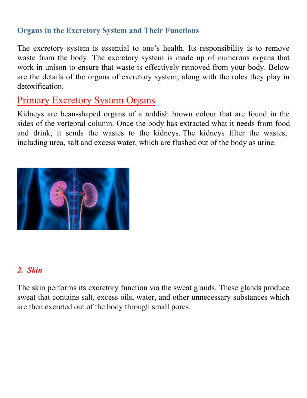 Primary Excretory System Organs Kidneys Are Bean-Shaped Organs of a Reddish Brown Colour That Are Found in the Sides of the Vertebral Column