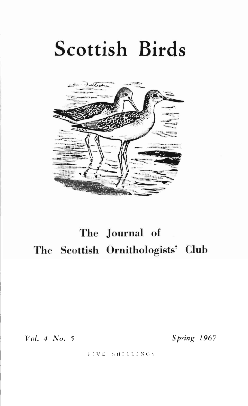 Scottish Birds