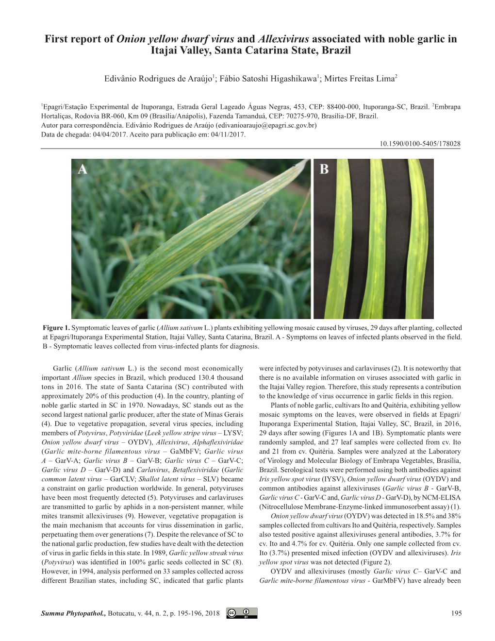 First Report of Onion Yellow Dwarf Virus and Allexivirus Associated with Noble Garlic in Itajai Valley, Santa Catarina State, Brazil