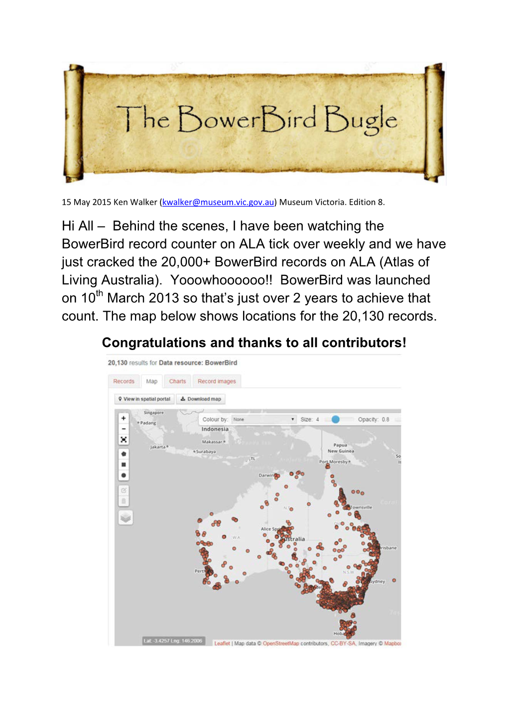 Behind the Scenes, I Have Been Watching the Bowerbird Record