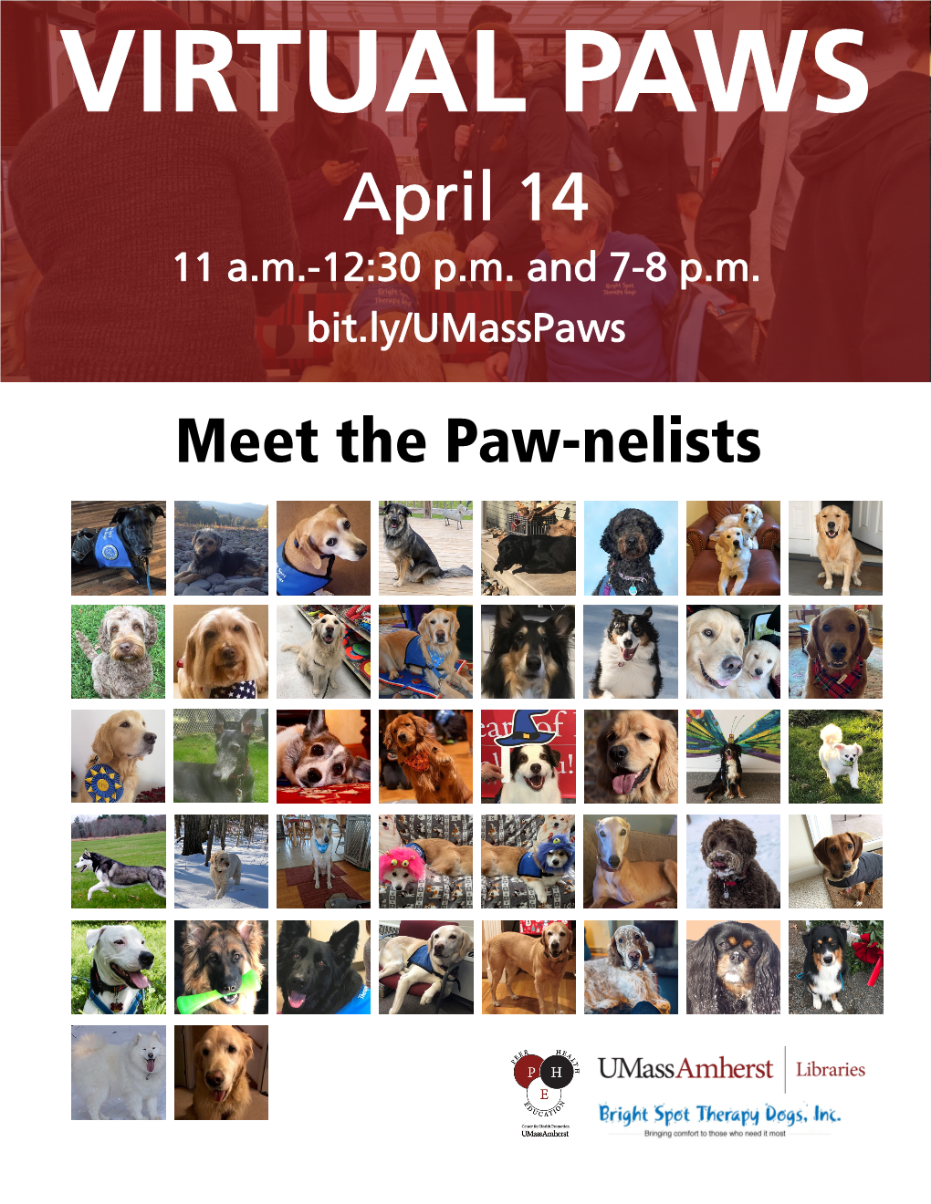 Paw-Nelists Meet the Paw-Nelists