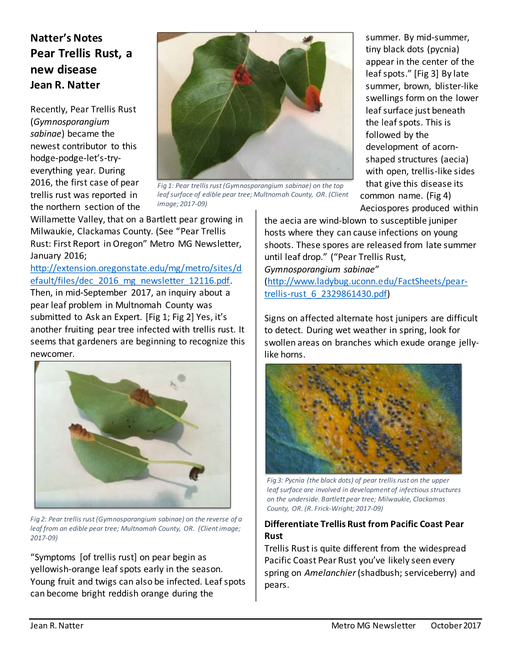 Pear Trellis Rust, a New Disease