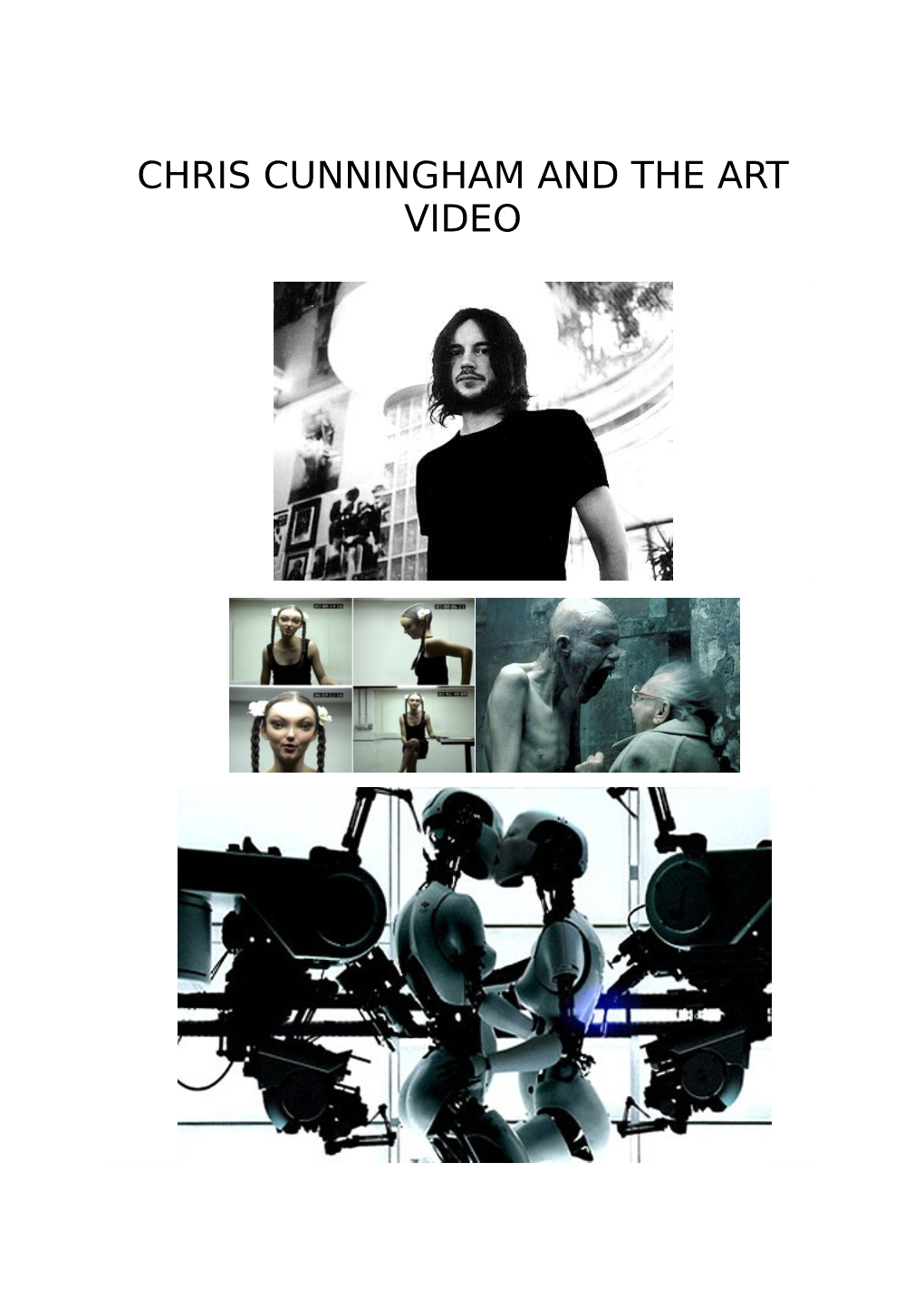 CHRIS CUNNINGHAM and the ART VIDEO Summary