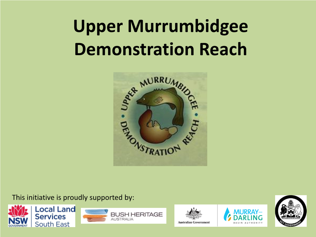 Upper Murrumbidgee Demonstration Reach