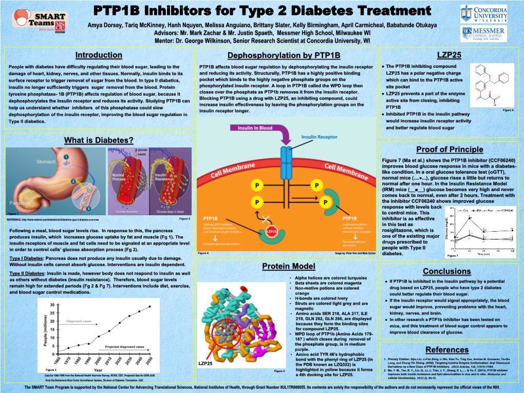 LZP25 Introduction What Is Diabetes? Dephosphorylation by PTP1B