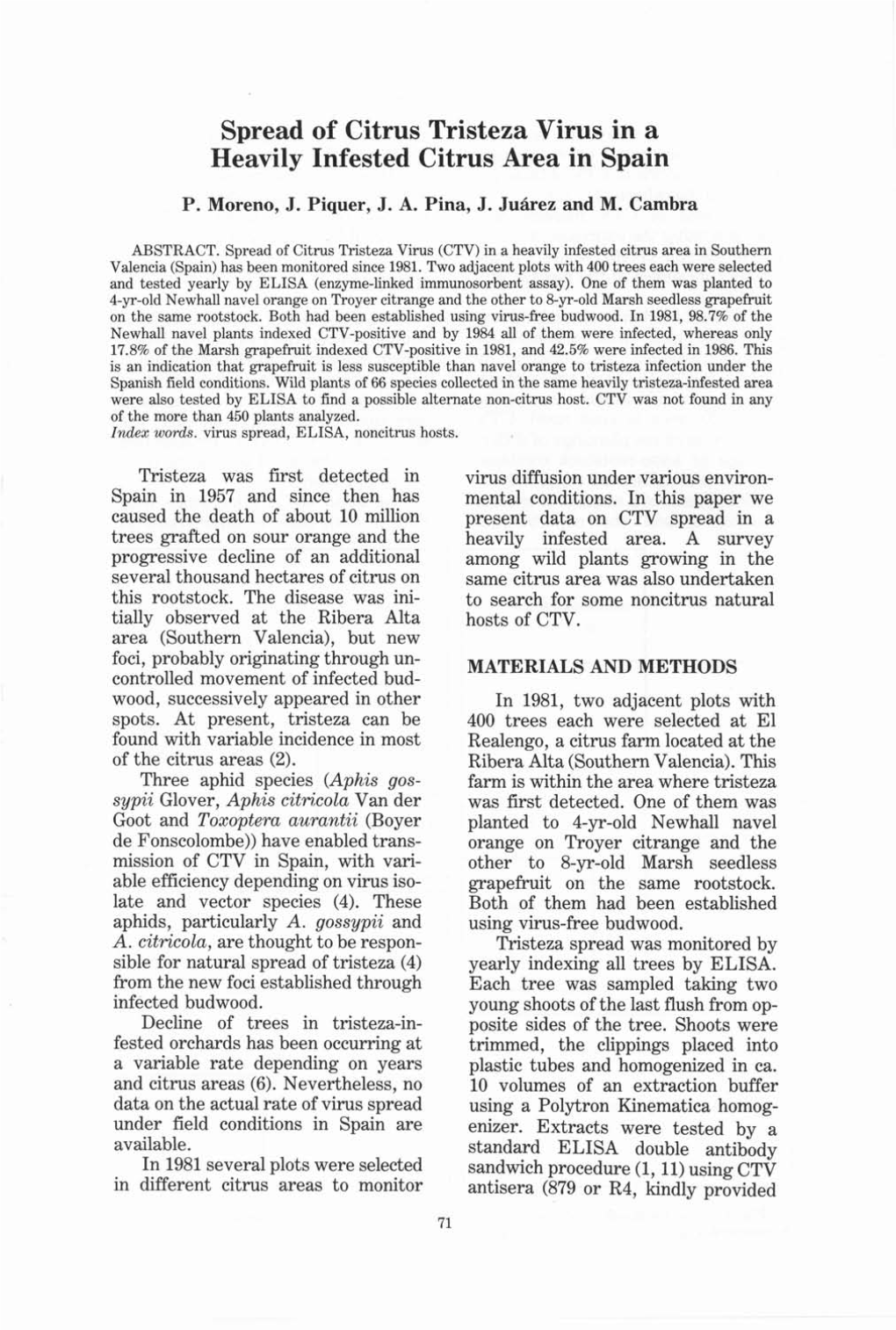 Spread of Citrus Tristeza Virus in a Heavily Infested Citrus Area in Spain