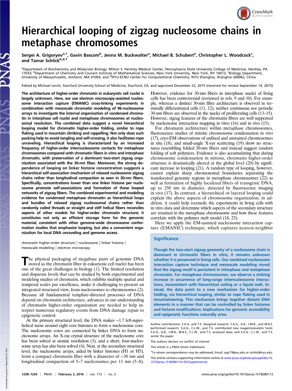 Hierarchical Looping of Zigzag Nucleosome Chains in Metaphase Chromosomes