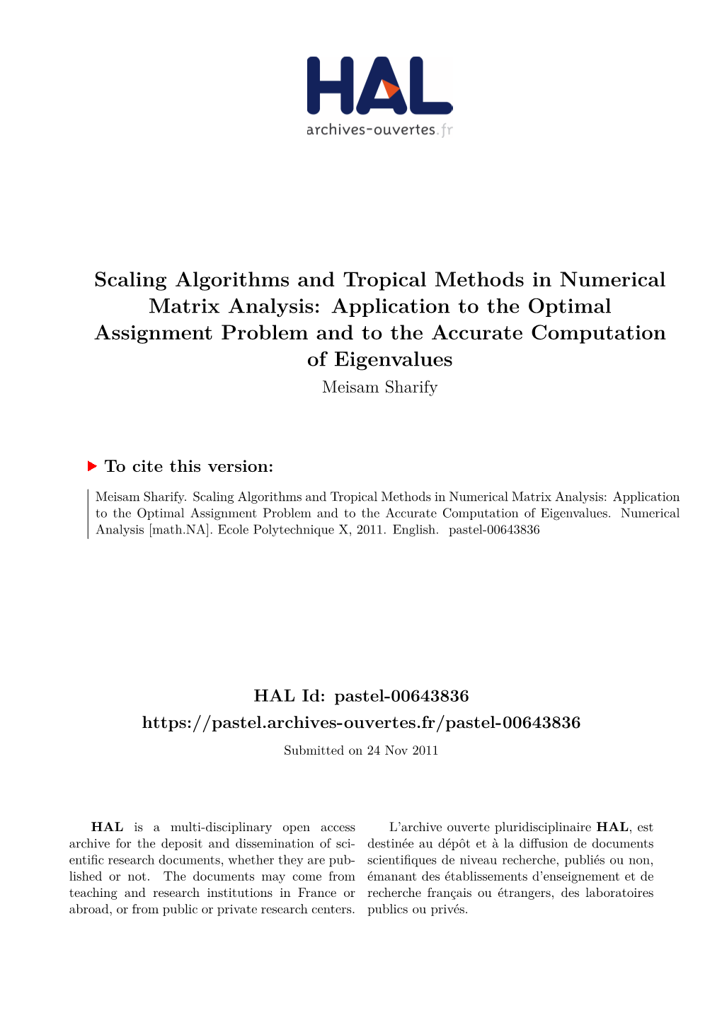 Scaling Algorithms and Tropical Methods in Numerical Matrix Analysis