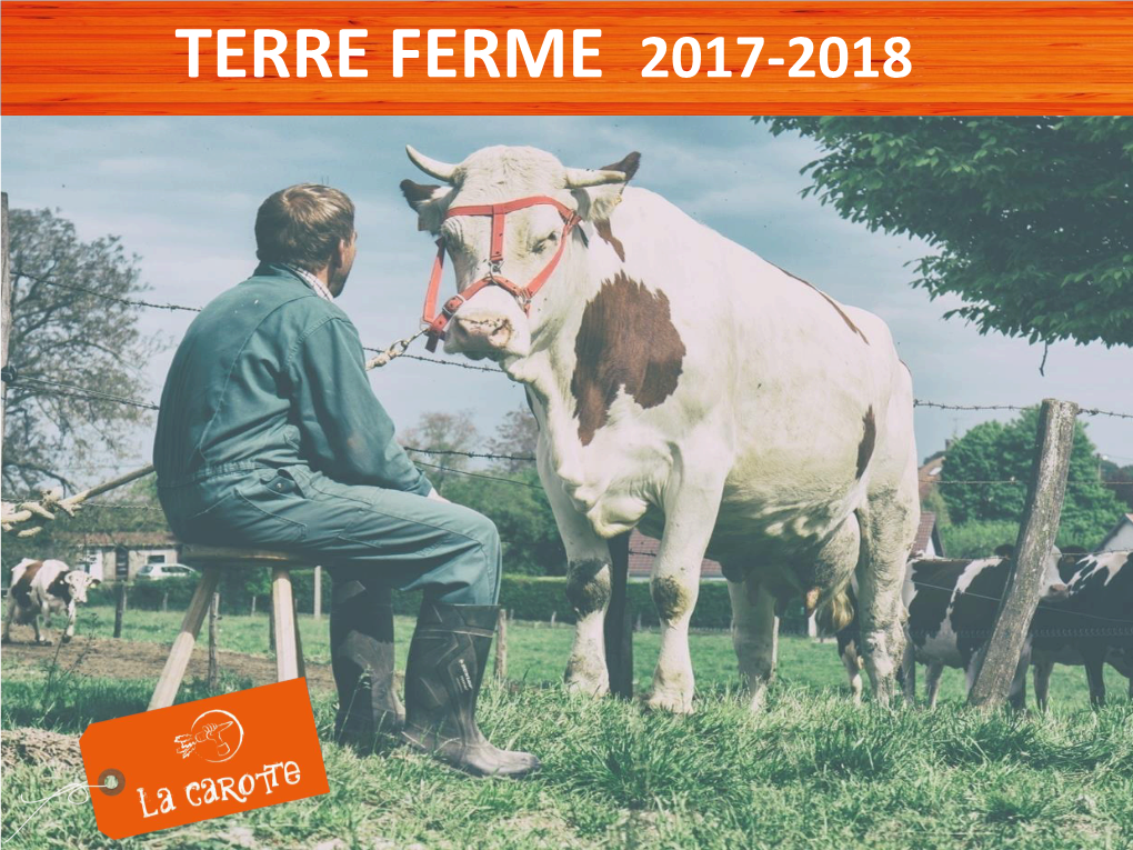 TERRE FERME 2017-2018 LA CAROTTE Association Et Compagnie De Théâtre