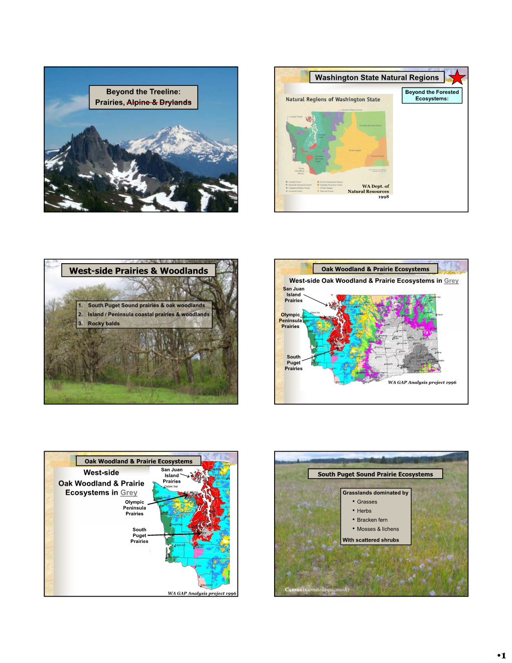 West-Side Prairies & Woodlands