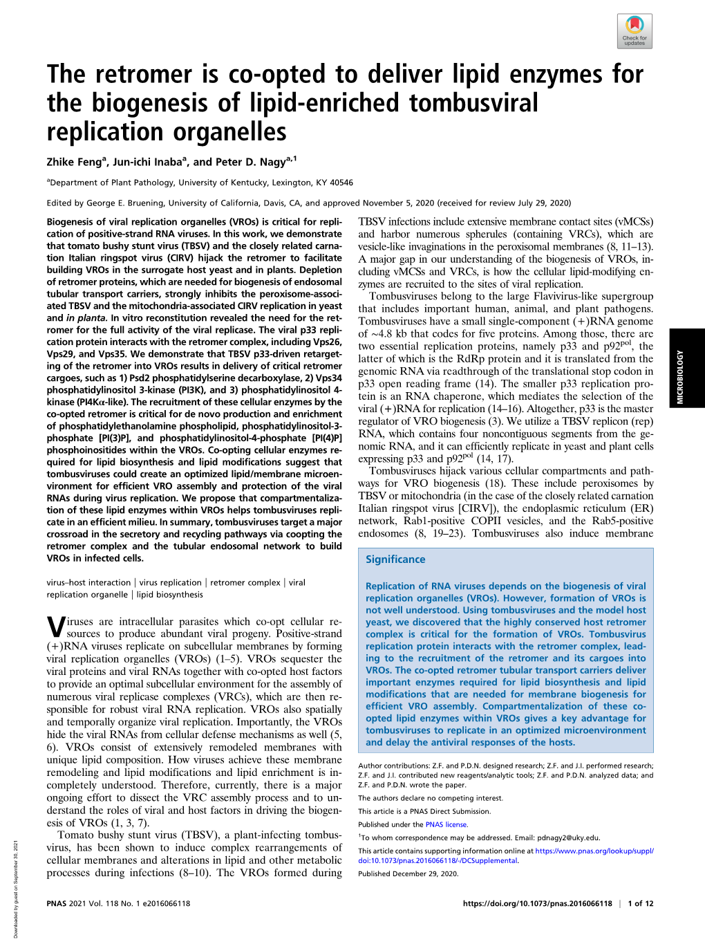 The Retromer Is Co-Opted to Deliver Lipid Enzymes for the Biogenesis of Lipid-Enriched Tombusviral Replication Organelles