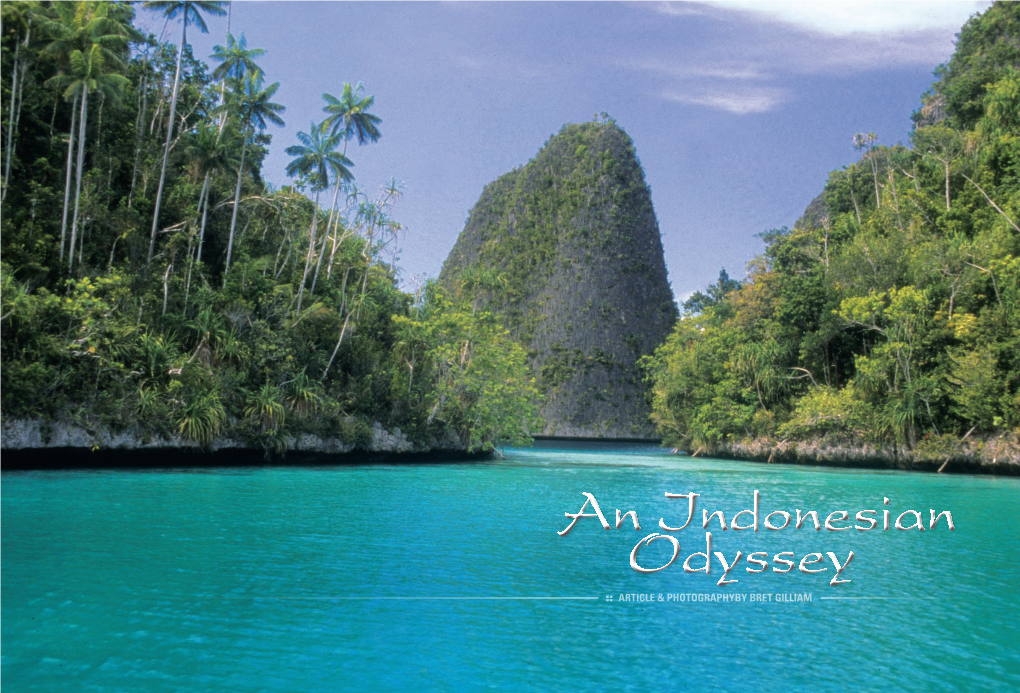 An Indonesian Odyssey Article & Photographyby Bret Gilliam Gilliam Indonesian Odyssey