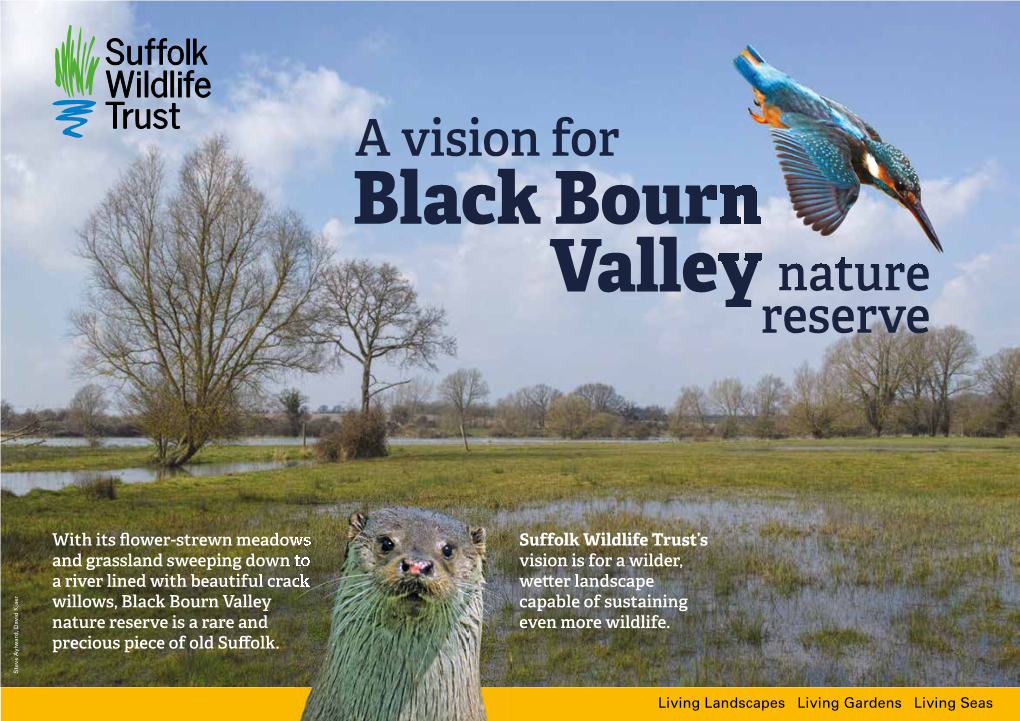 Black Bourn Valley Nature Reserve